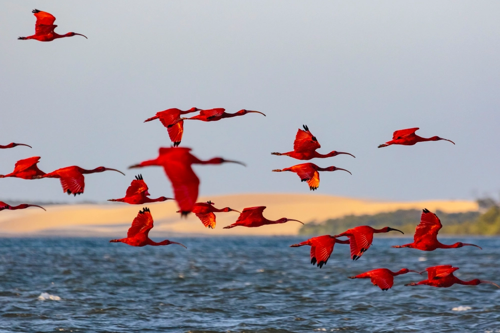 Turismo no Piauí registra alta de 33,5% no primeiro bimestre de 2026